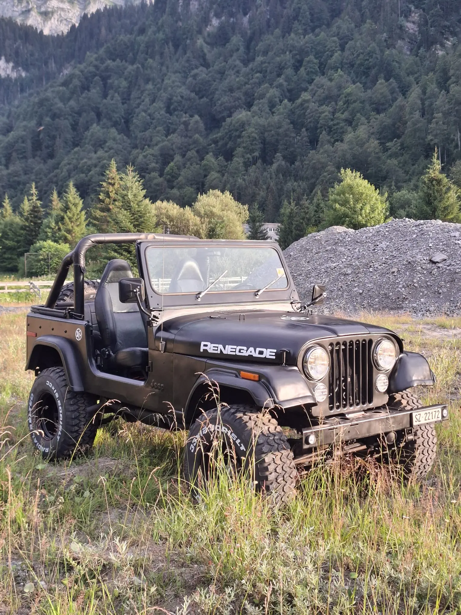 Jeep Cj 1978 occasion Euthal — 4