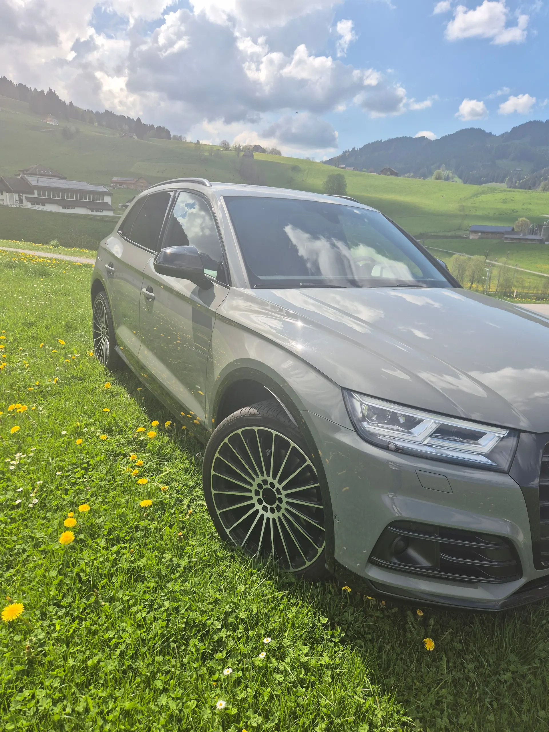 Audi SQ5 2018 occasion Schwende-Rüte — 2