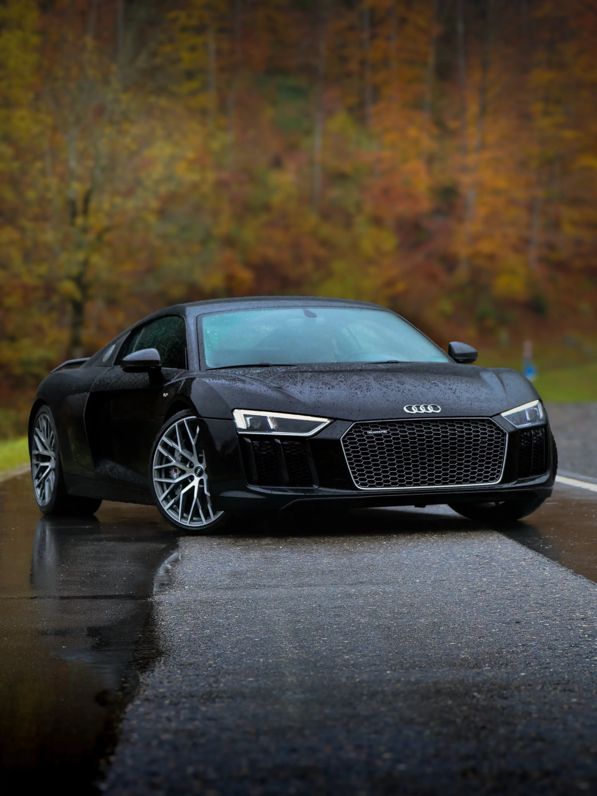 Audi R8 2016 occasion Altendorf SZ — 1