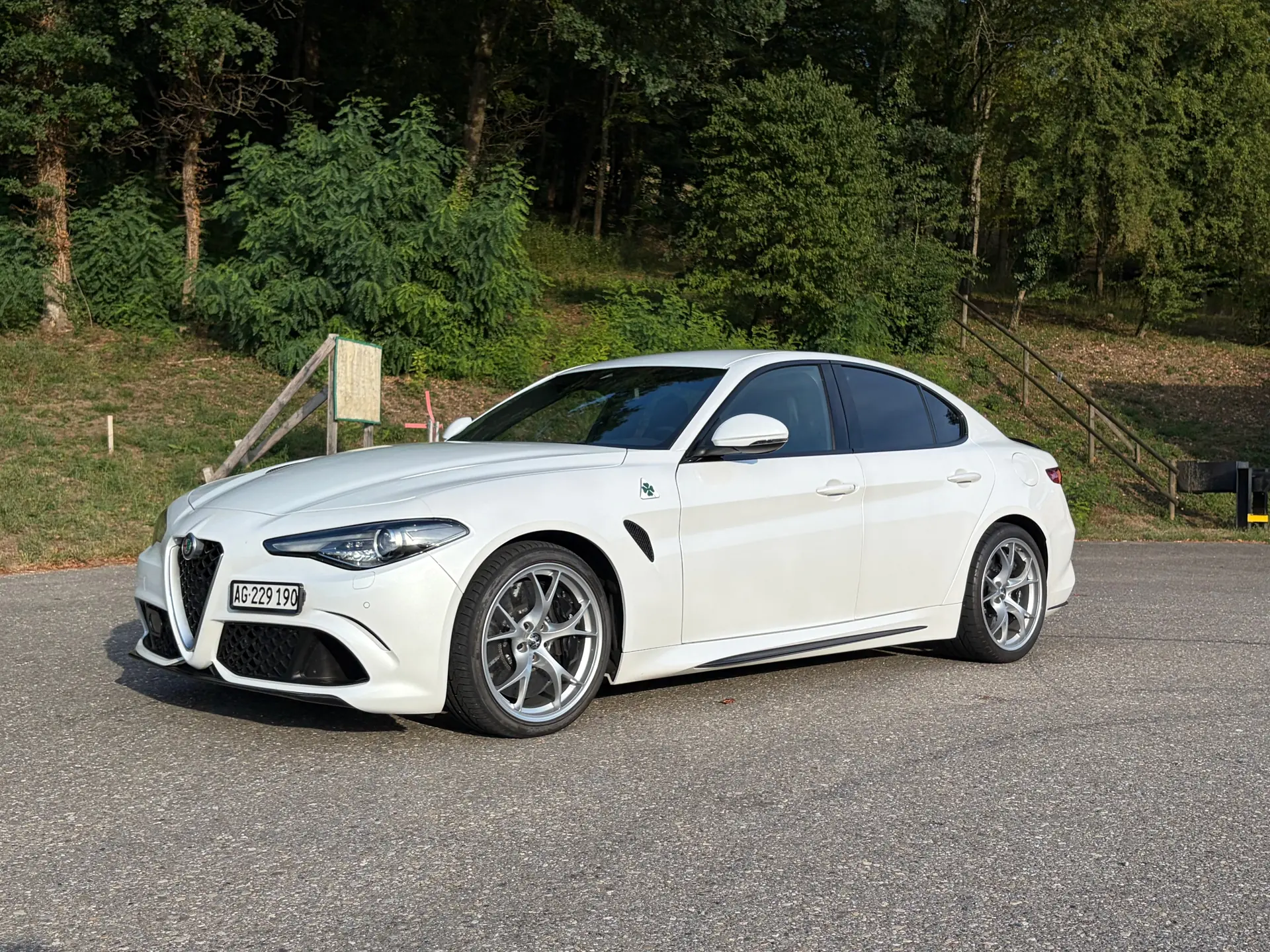 Alfa Romeo Giulia 2016 occasion Ehrendingen — 2