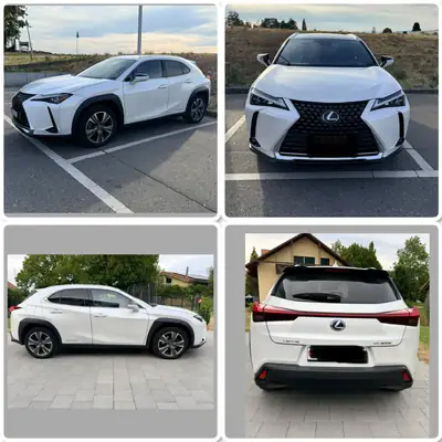 Lexus UX 300e Excellence — SUV électrique compact, 70 000 km, état impeccable — détail