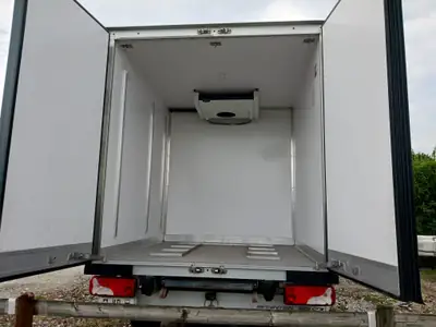 Mercedes-Benz 313 CDI — Camion de livraison professionnel, 257000 km, moteur diesel fiable — détail
