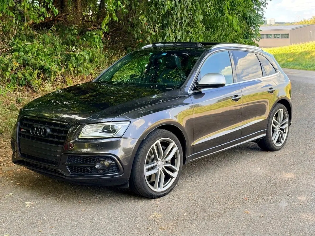 Audi SQ5 2015 occasion Bülach — 5