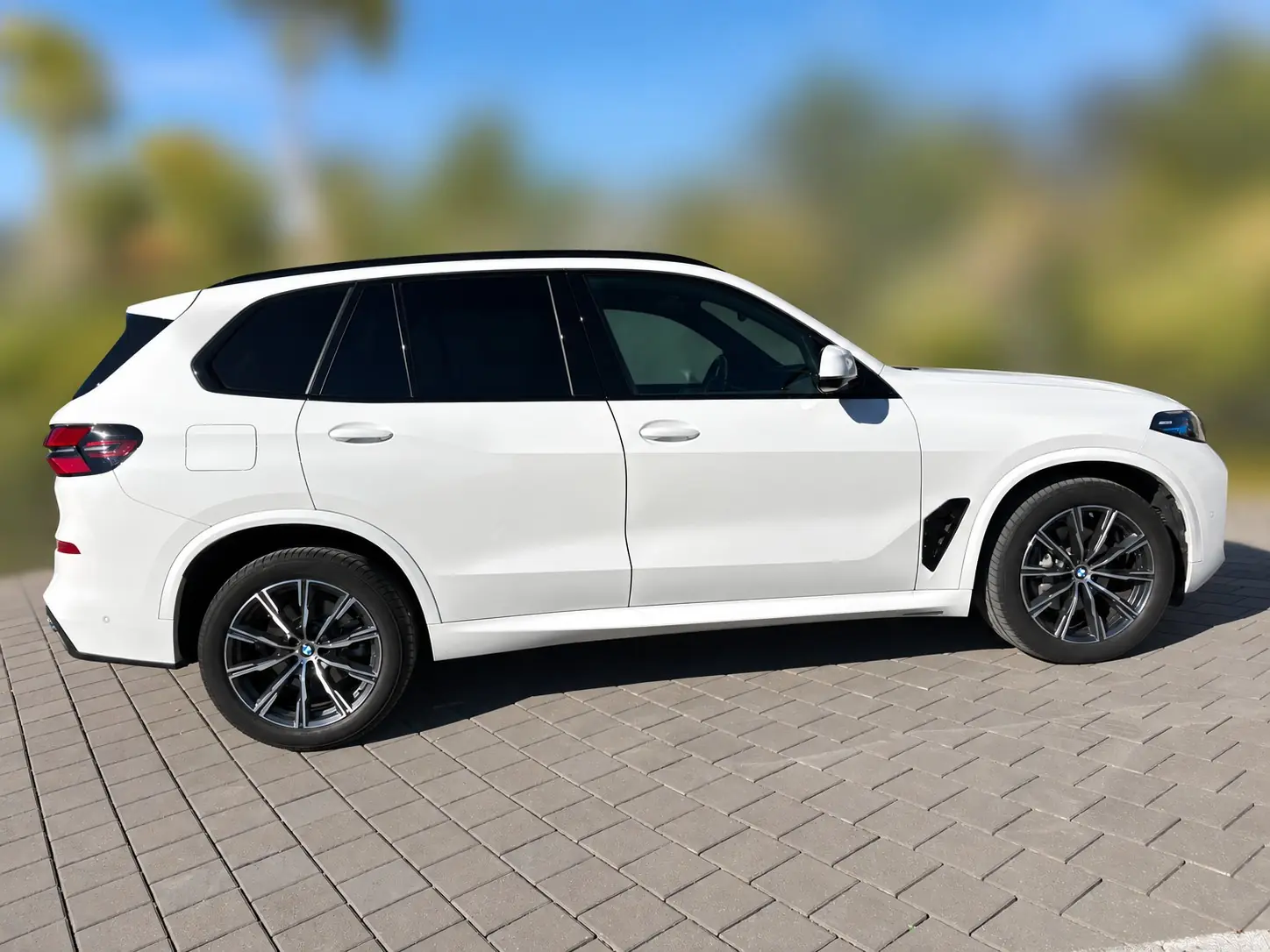 BMW X5 2024 occasion Dachsen — 2