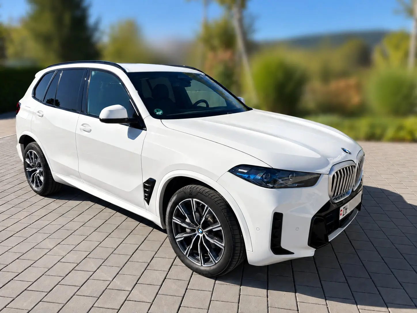 BMW X5 2024 occasion Dachsen — 1