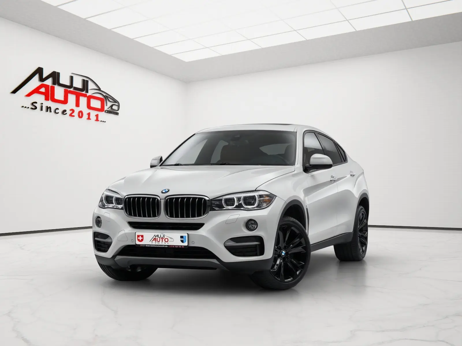BMW X6 xDrive 40d — SUV coupé diesel puissant, 152 900 km, sans sinistre
