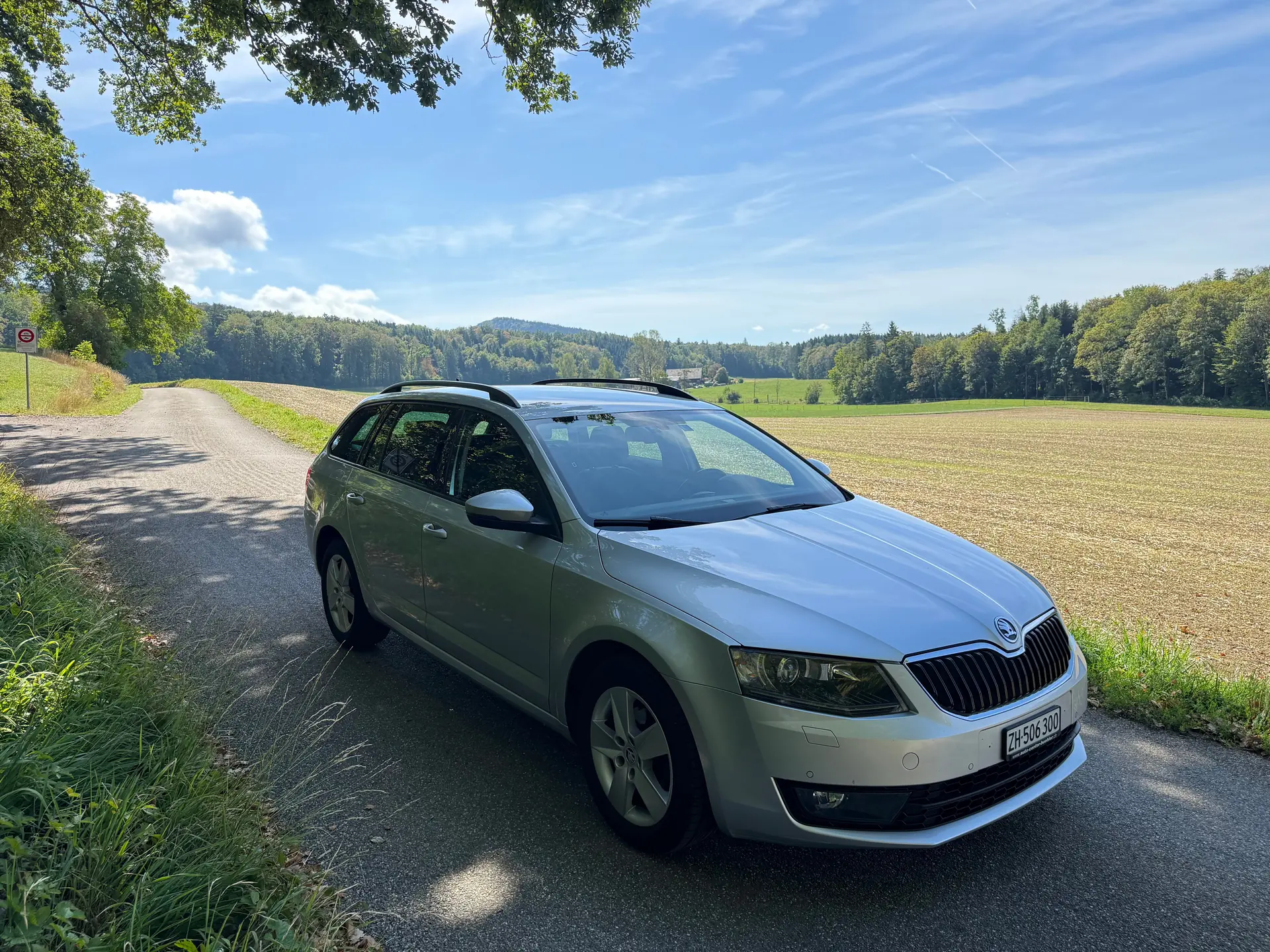 Skoda Octavia 2014 occasion Zwillikon — 1