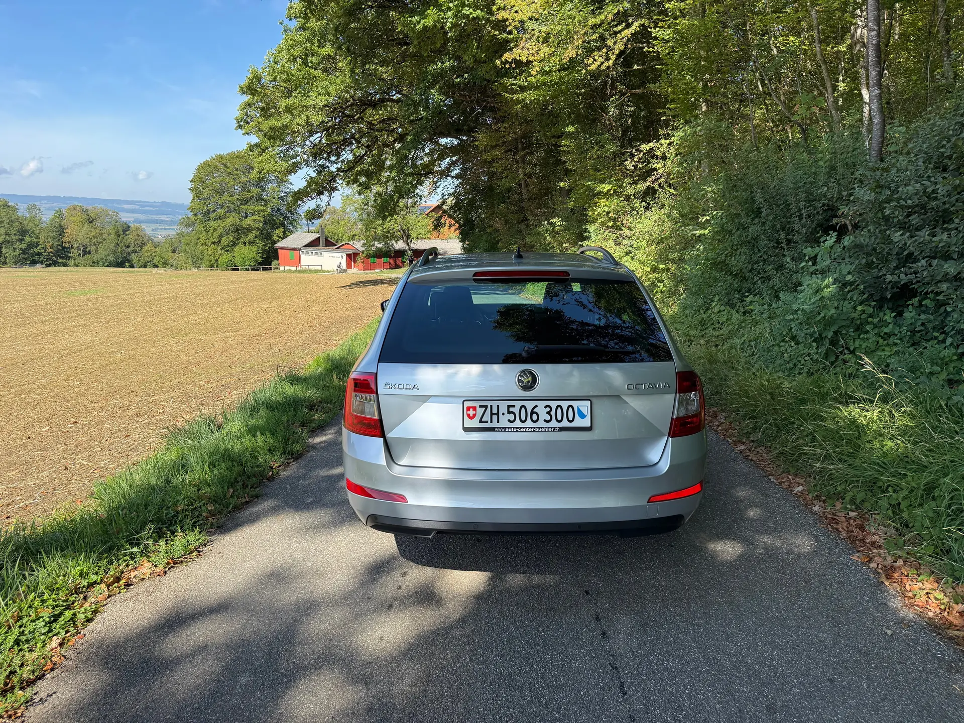Skoda Octavia 2014 occasion Zwillikon — 5