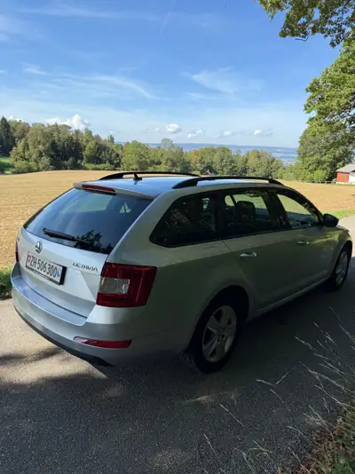 Skoda Octavia Elegance 1.6 TDI DSG — Break robuste, diesel économe, entretien complet — détail