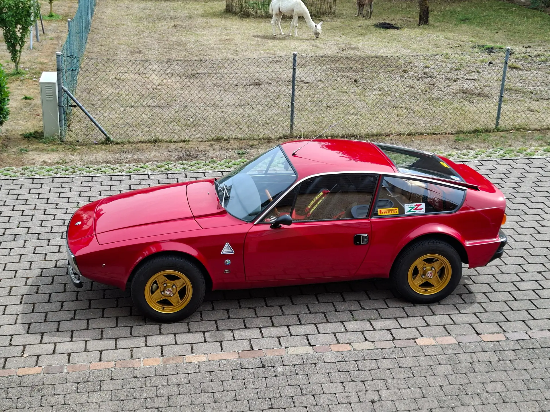 Alfa Romeo Zagato Junior Z 1970 — Chef-d'œuvre italien rare, 52'000 km d'authenticité
