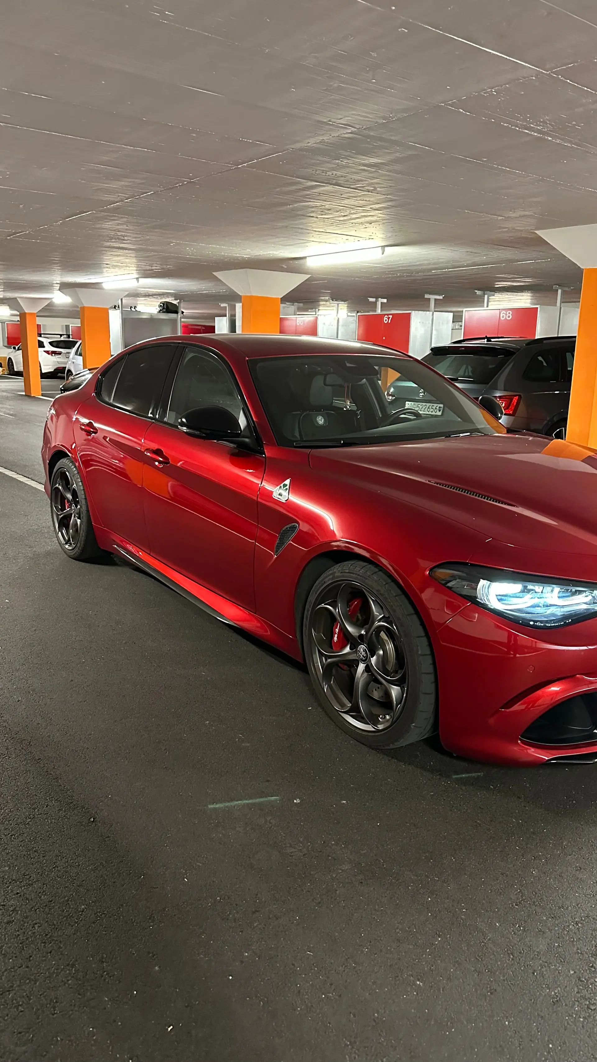 Alfa Romeo Giulia 2024 occasion Wettingen — 2