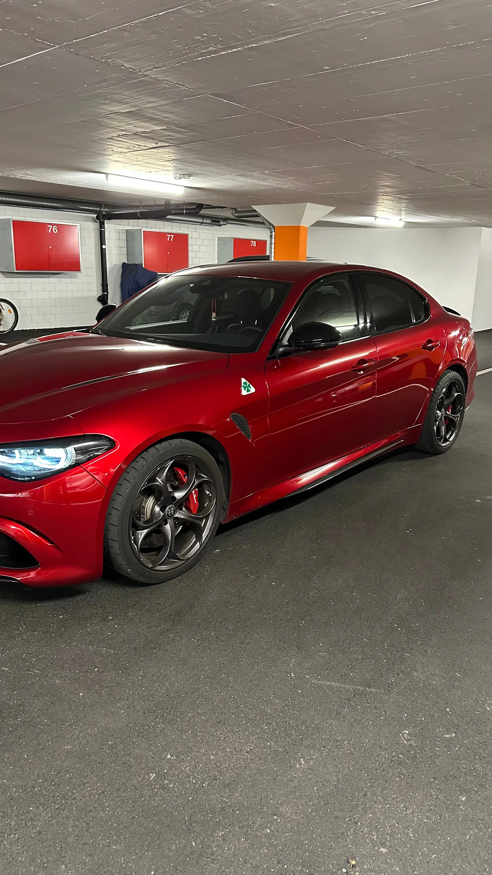 Alfa Romeo Giulia 2024 occasion Wettingen — 3