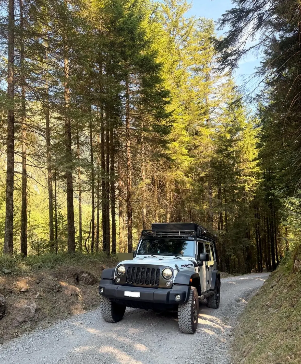 Jeep Wrangler 2015 occasion Oberägeri — 3