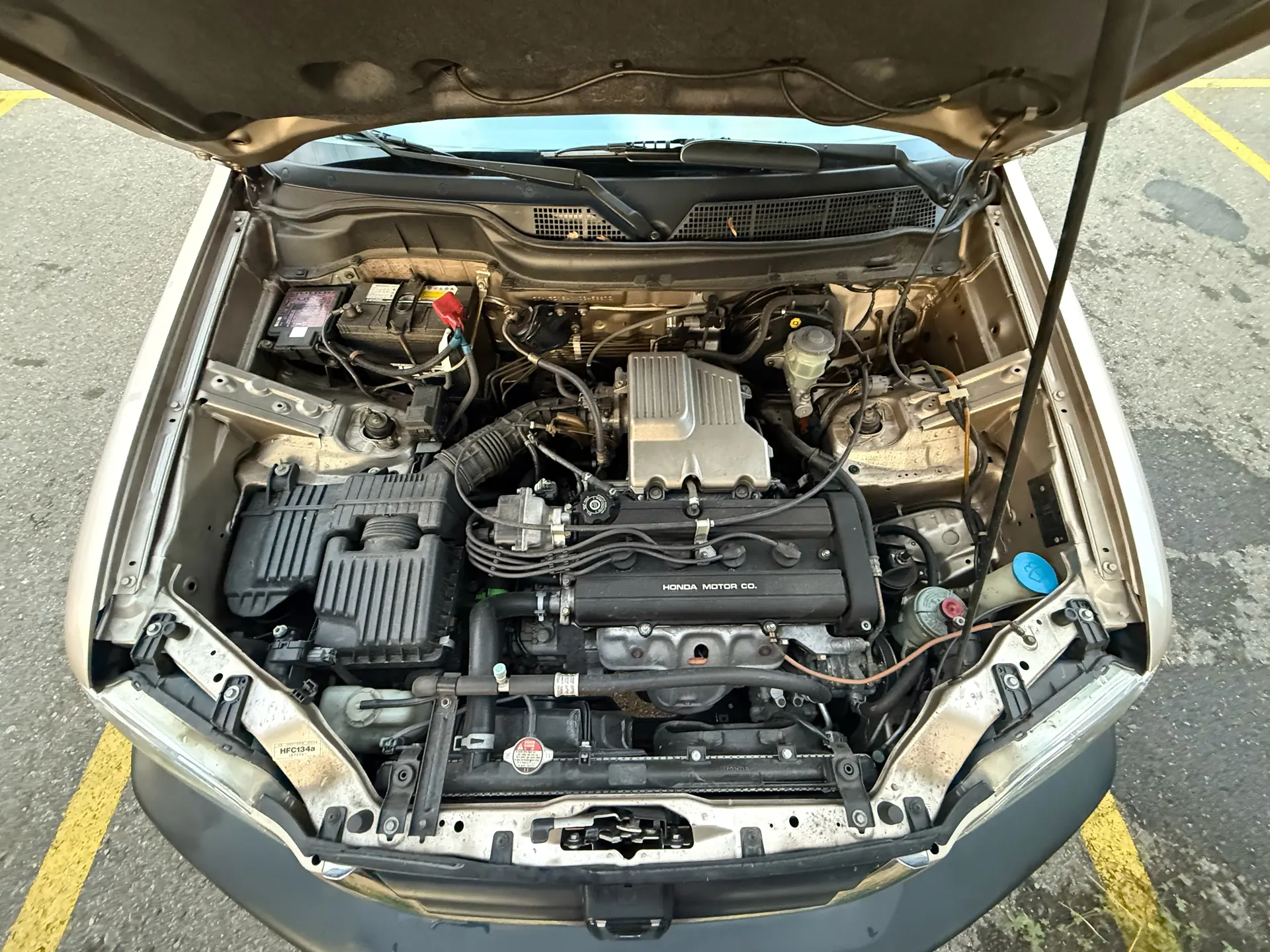 Honda CR-V 2000 occasion Lachen Sz — 3