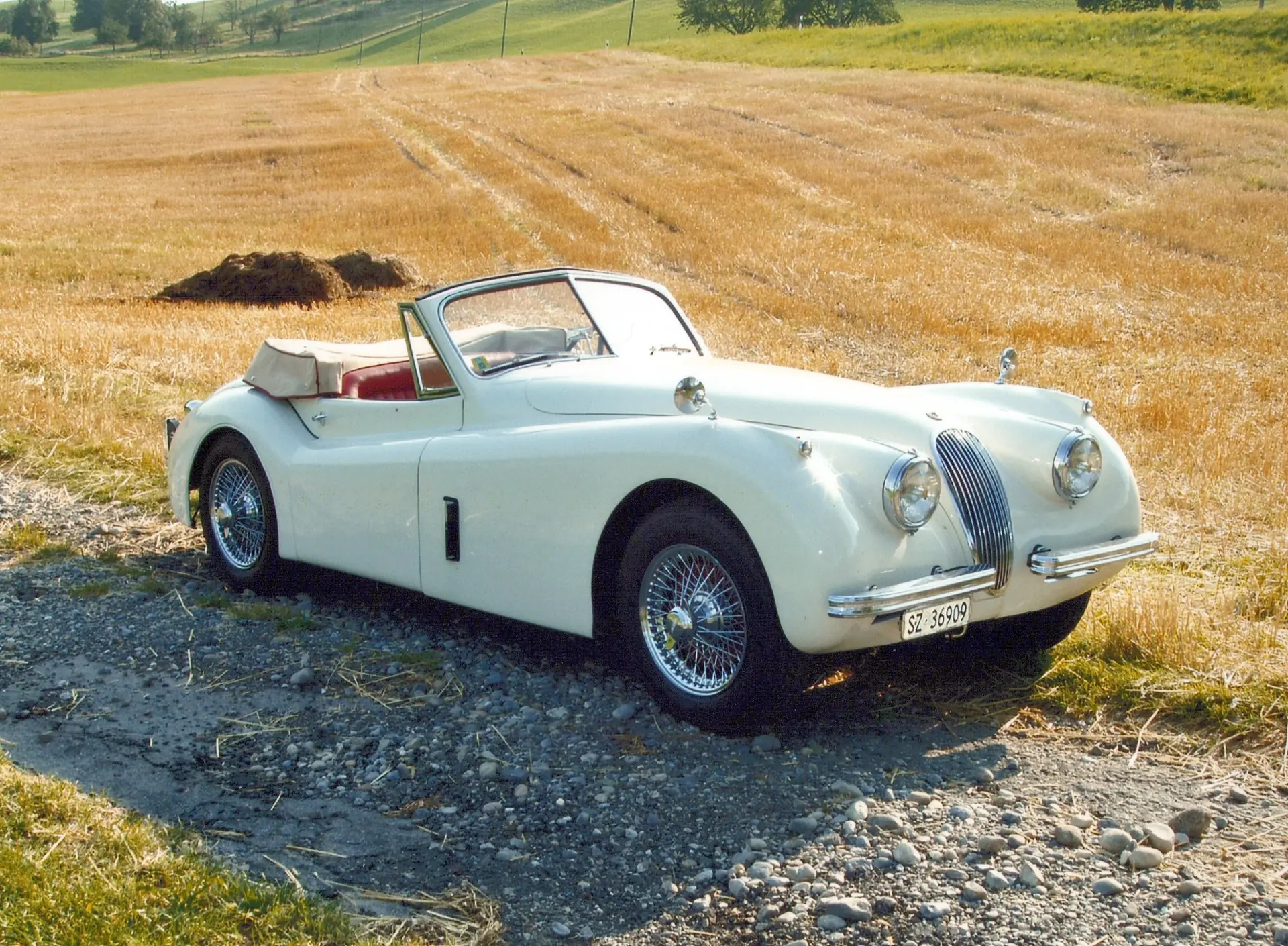 Jaguar Xk120 1954 occasion Luzern — 1
