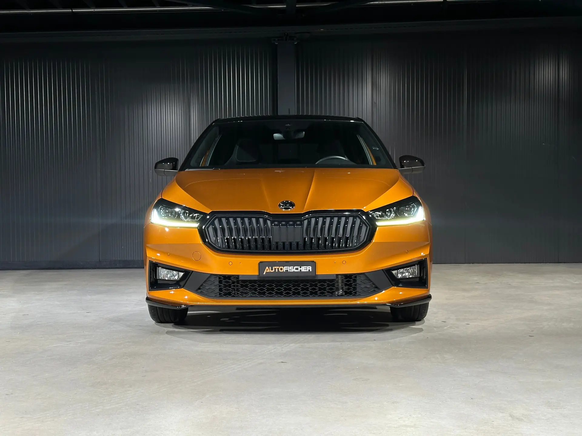 Skoda Fabia 2025 occasion Ettingen — 3