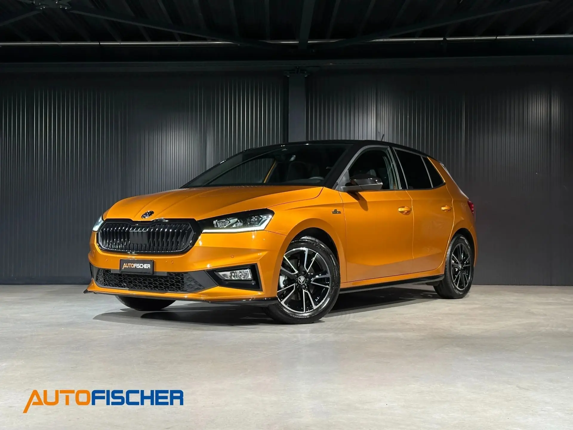 Skoda Fabia 2025 occasion Ettingen — 1