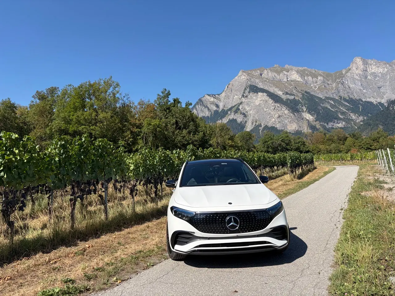 Mercedes-Benz Eqa 350 2024 occasion Fläsch — 2