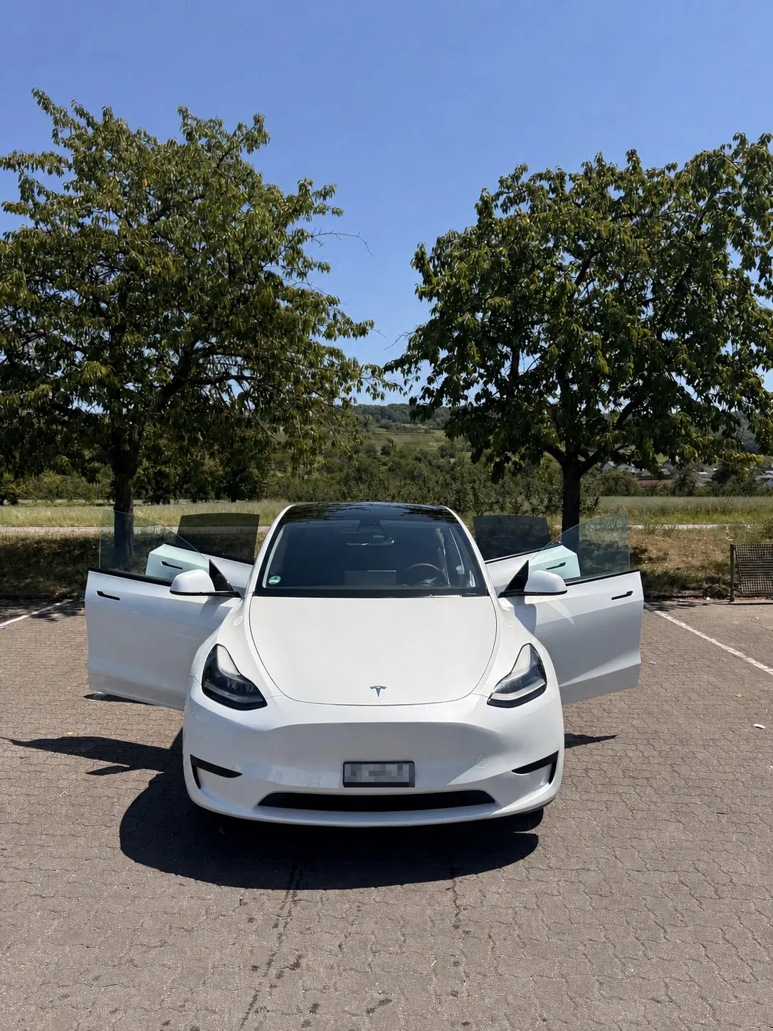 Tesla Model Y 2024 occasion Riehen — 5