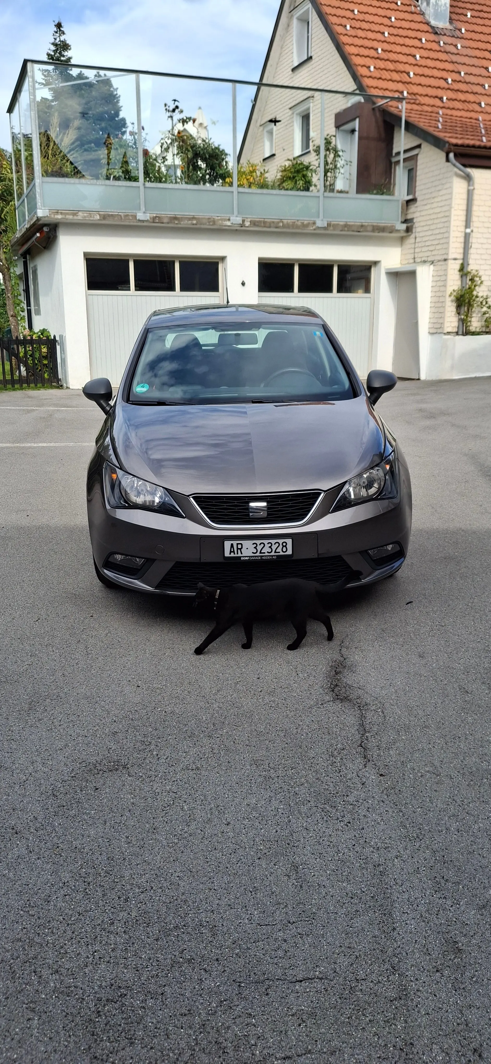 SEAT Ibiza 2014 occasion Rehetobel — 1