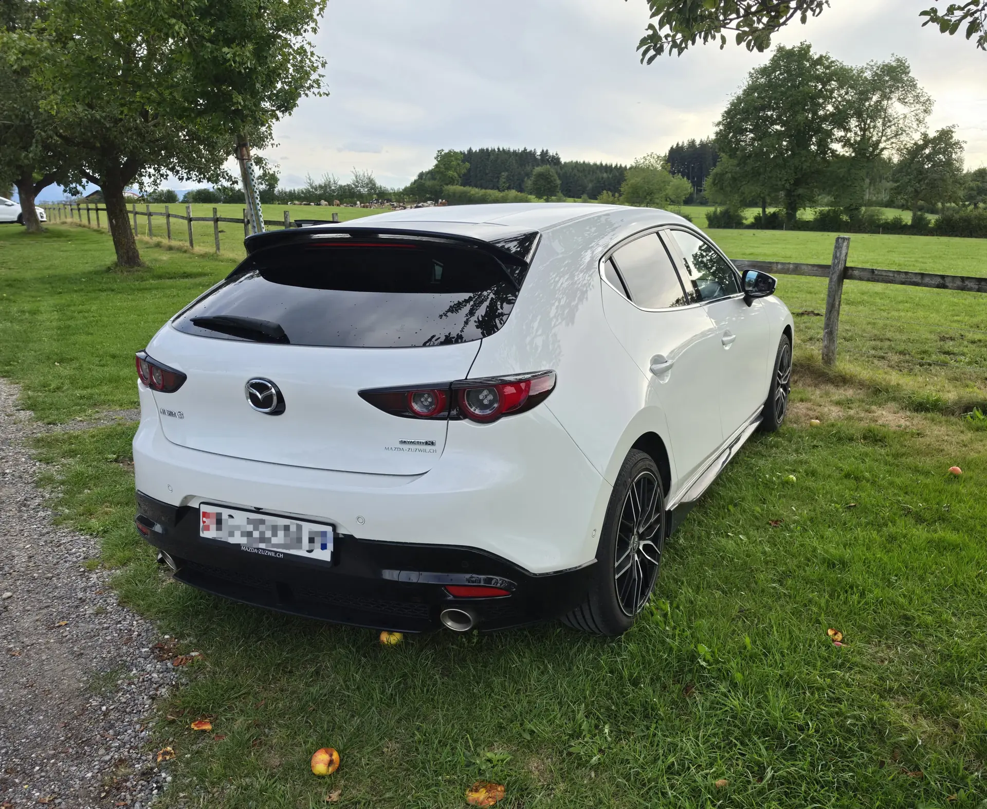 Mazda 3 2019 occasion Boswil — 4