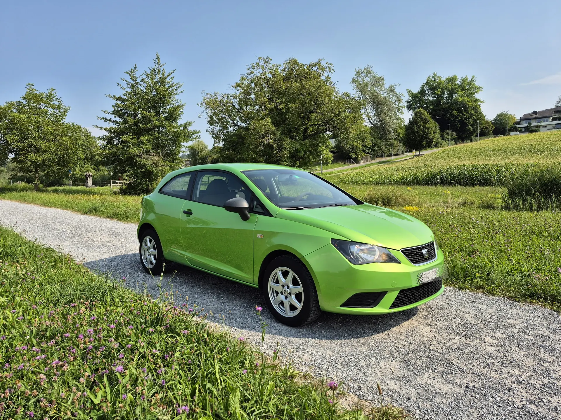 SEAT Ibiza 2014 occasion Küsnacht ZH — 1