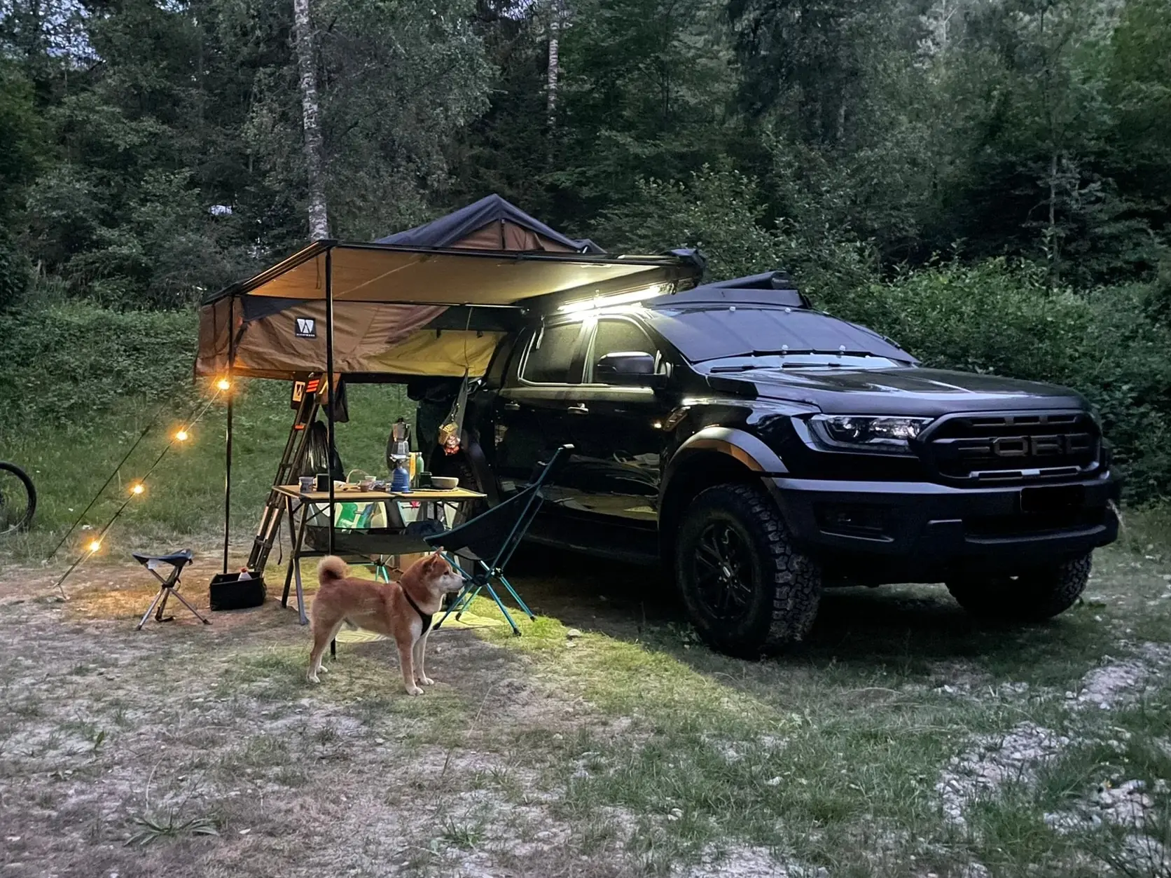 Ford Ranger 2019 occasion Belp — 1
