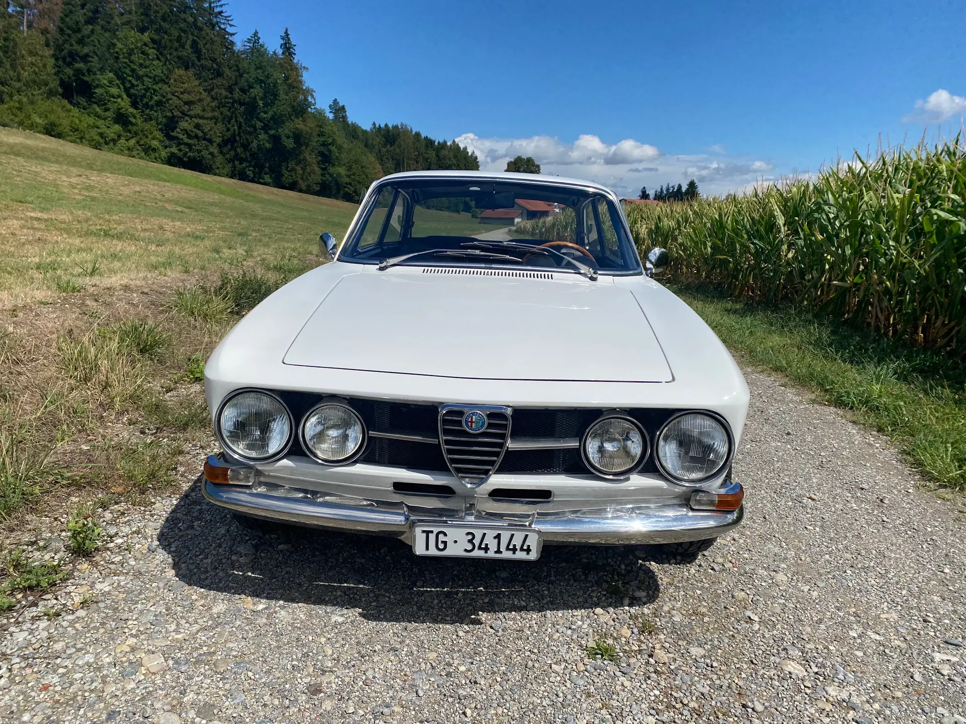 Alfa Romeo 1750 1969 occasion Wilen — 3