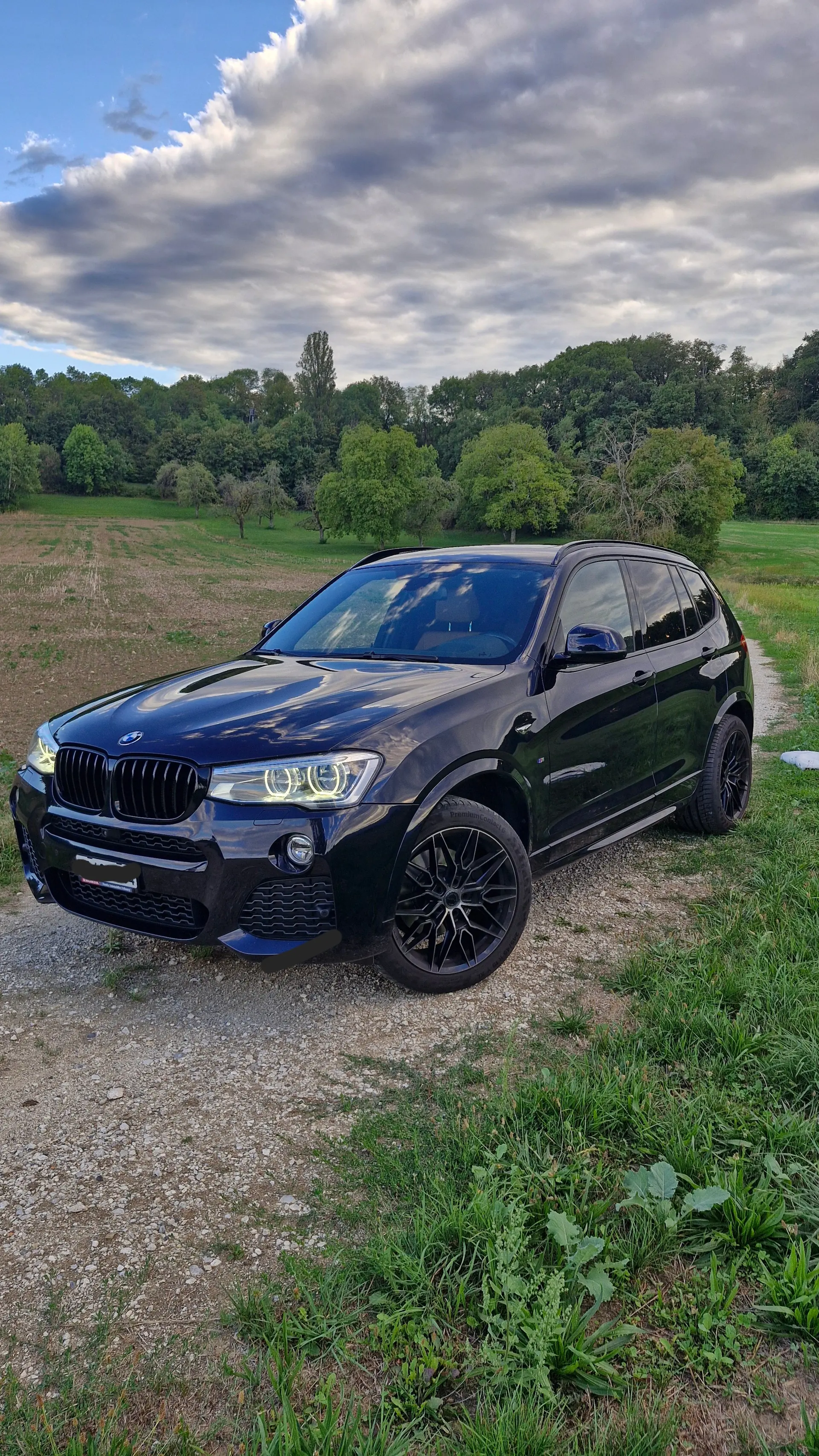 BMW X3 35i xDrive M Sport — Dynamique et robuste, 93 000 km seulement