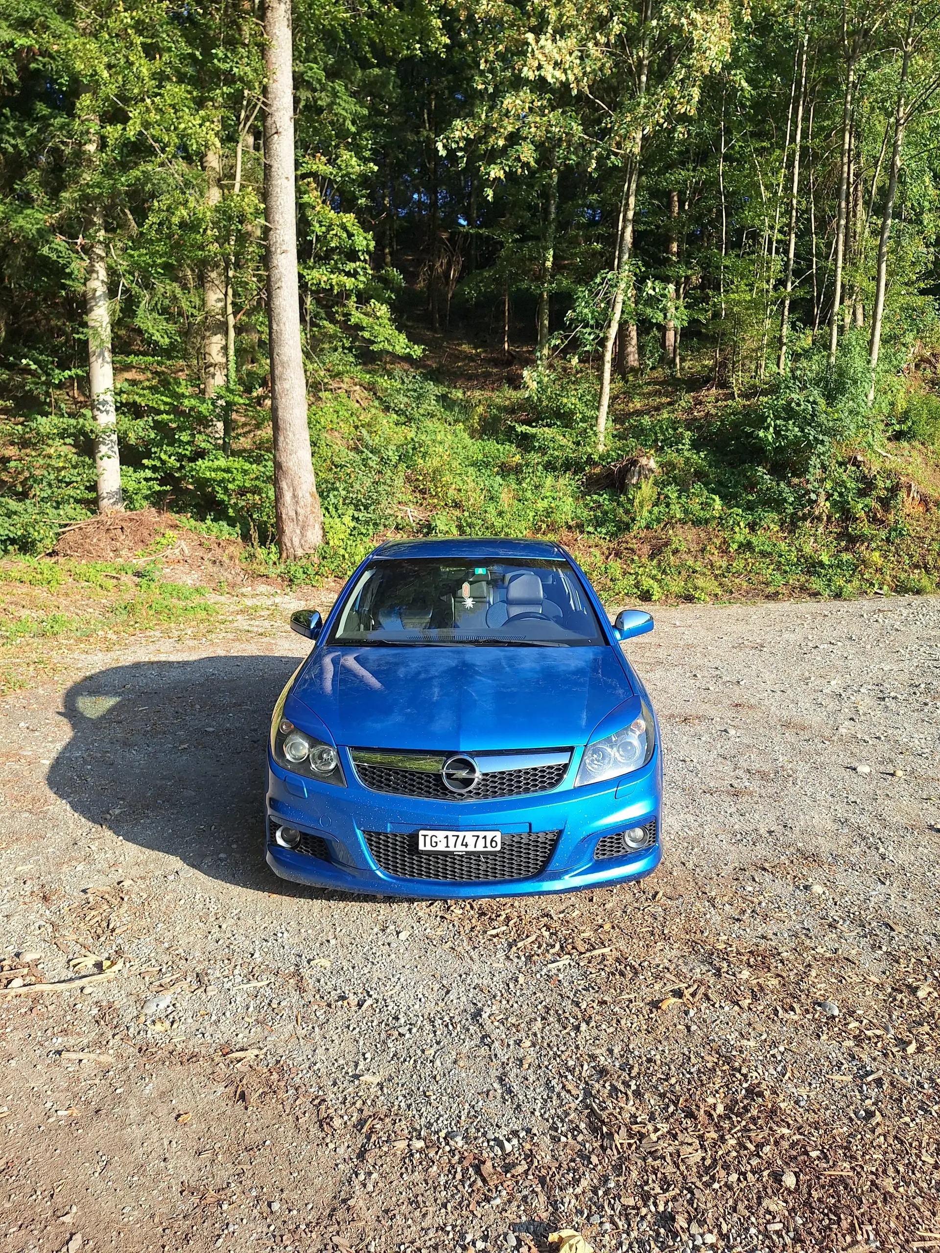 Opel Vectra 2006 occasion Fischingen — 4