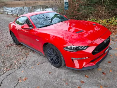 Ford Mustang 5.0 V8 GT — Muscle car légendaire, 449 ch pure performance — exterior view