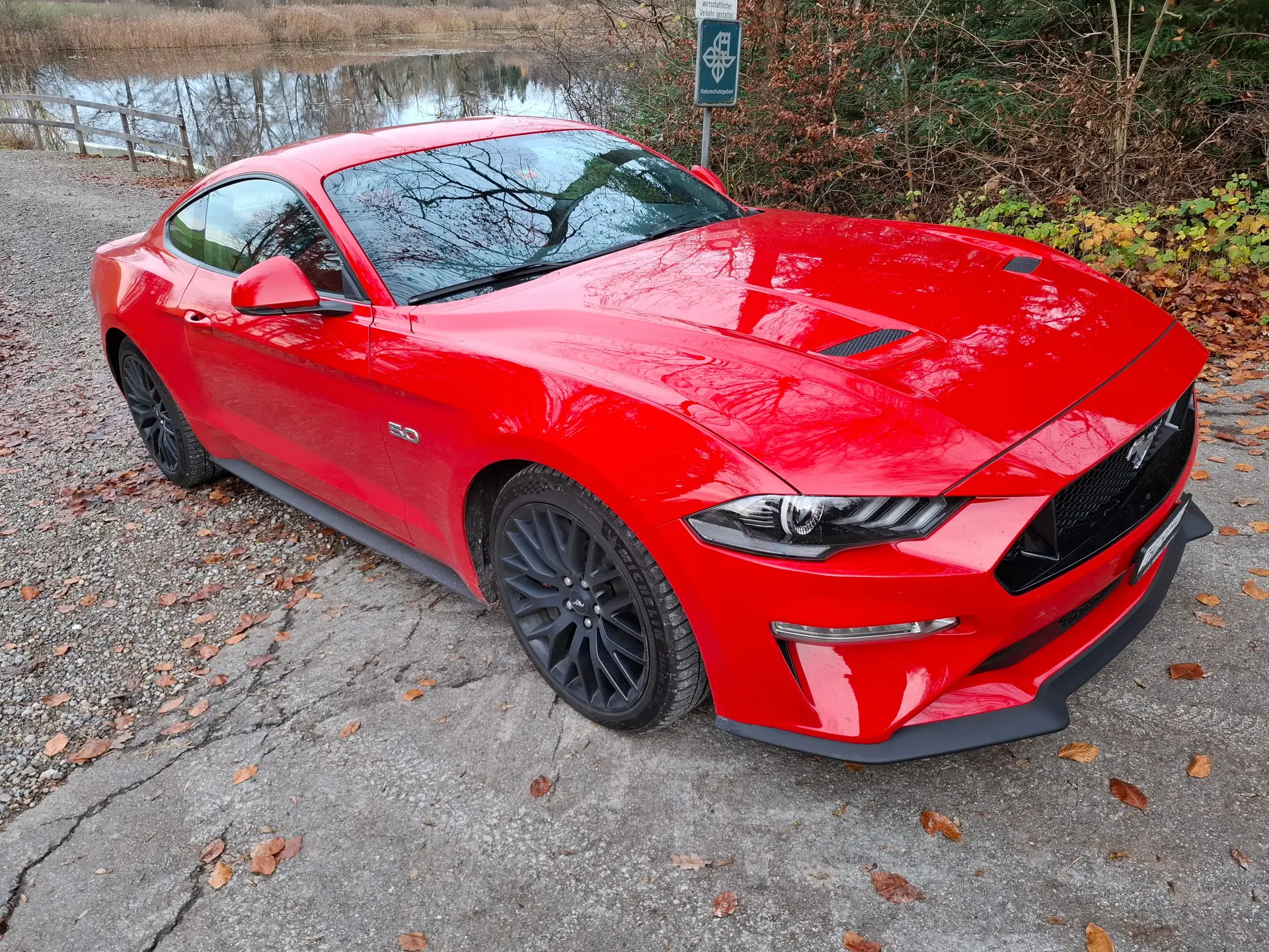 Ford Mustang 2020 occasion Kollbrunn — 1