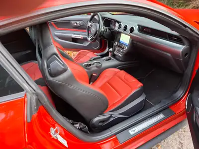 Ford Mustang 5.0 V8 GT — Muscle car légendaire, 449 ch pure performance — rear view