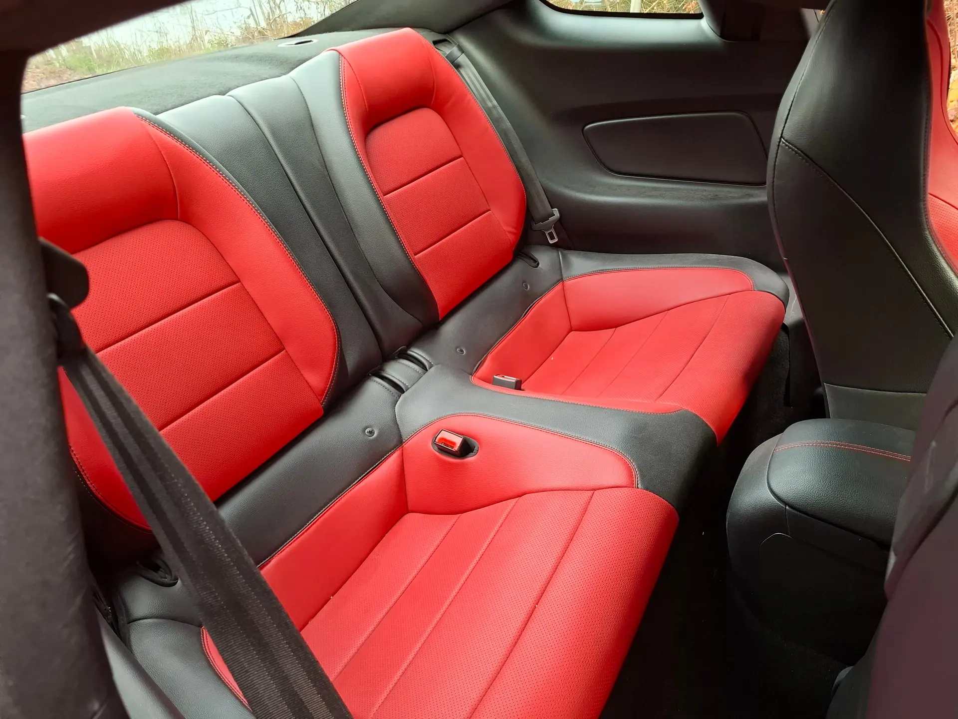 Ford Mustang 2020 occasion Kollbrunn — 4