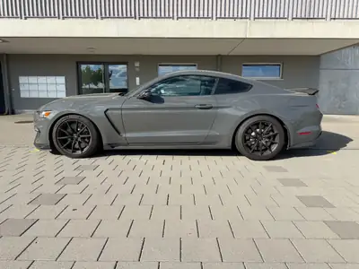 Ford Mustang Shelby GT350 — Muscle car légendaire, 533 ch et très peu kilométré — Heckansicht