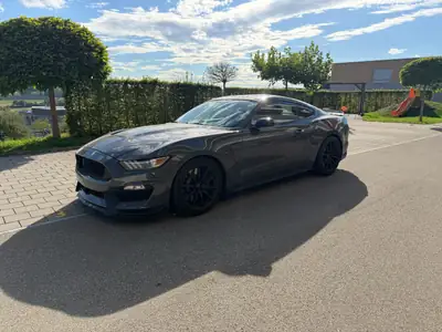 Ford Mustang Shelby GT350 — Muscle car légendaire, 533 ch et très peu kilométré — Seitenansicht
