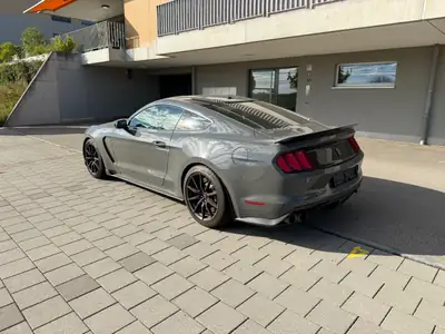 Ford Mustang Shelby GT350 — Muscle car légendaire, 533 ch et très peu kilométré — Detail