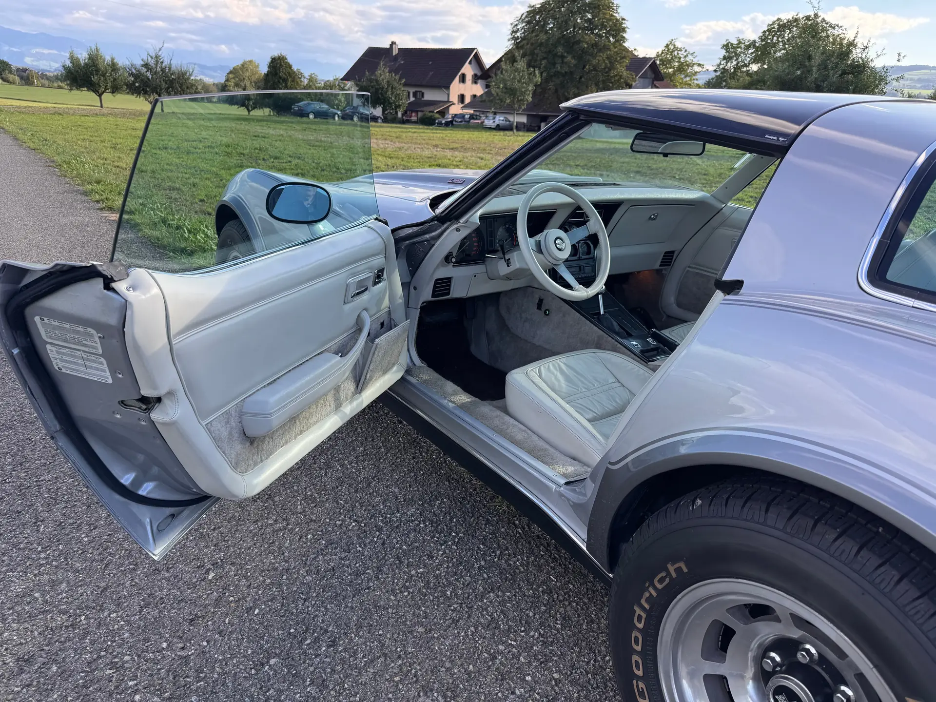Chevrolet Corvette 1978 occasion Ottenbach — 5