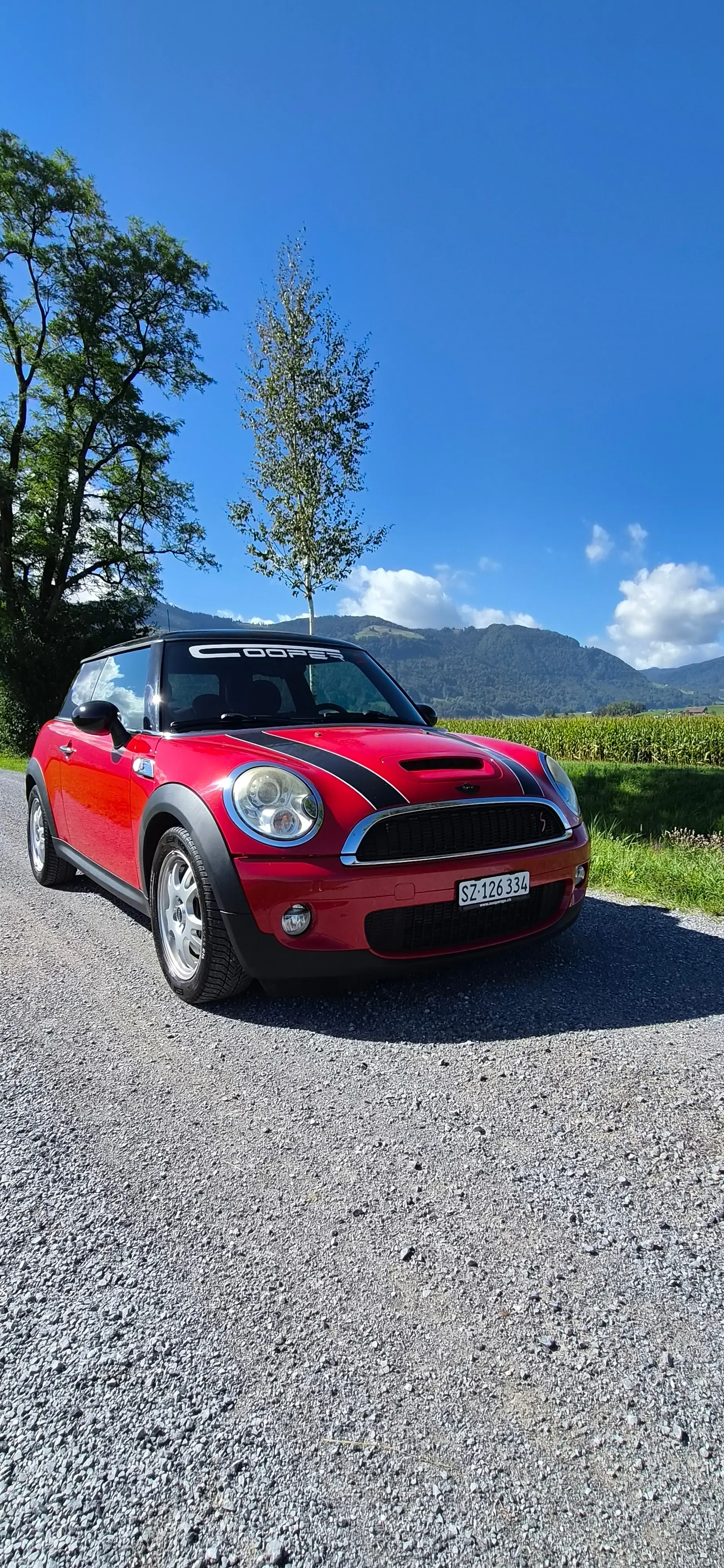 MINI Mini 2009 occasion Galgenen — 1