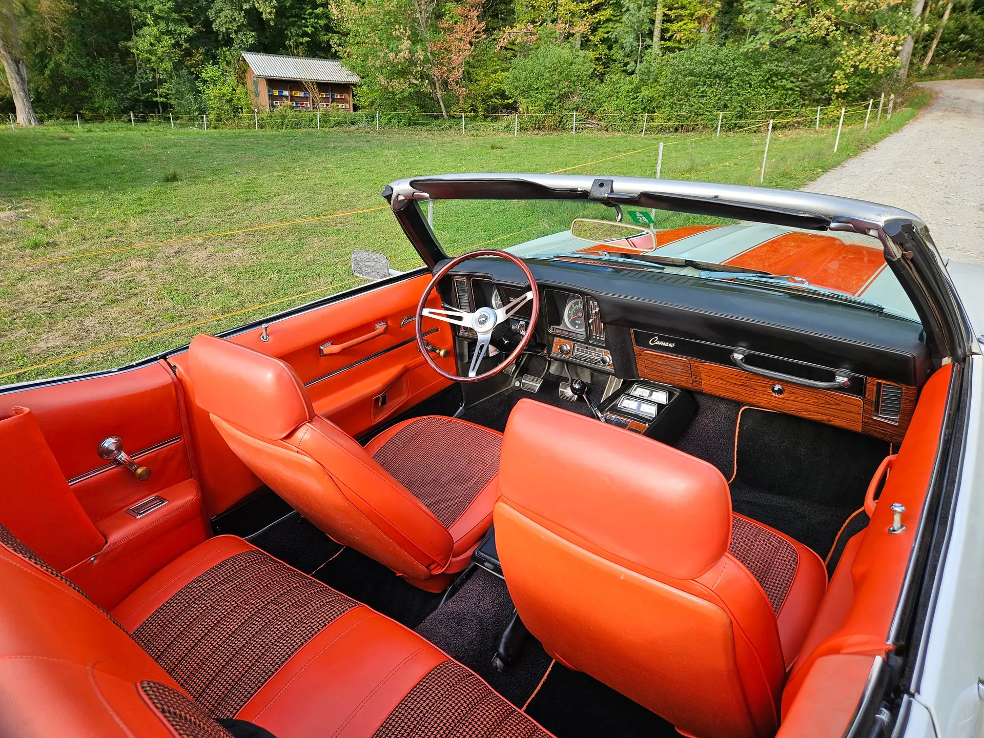 Chevrolet Camaro 1969 occasion Mettmenstetten — 3