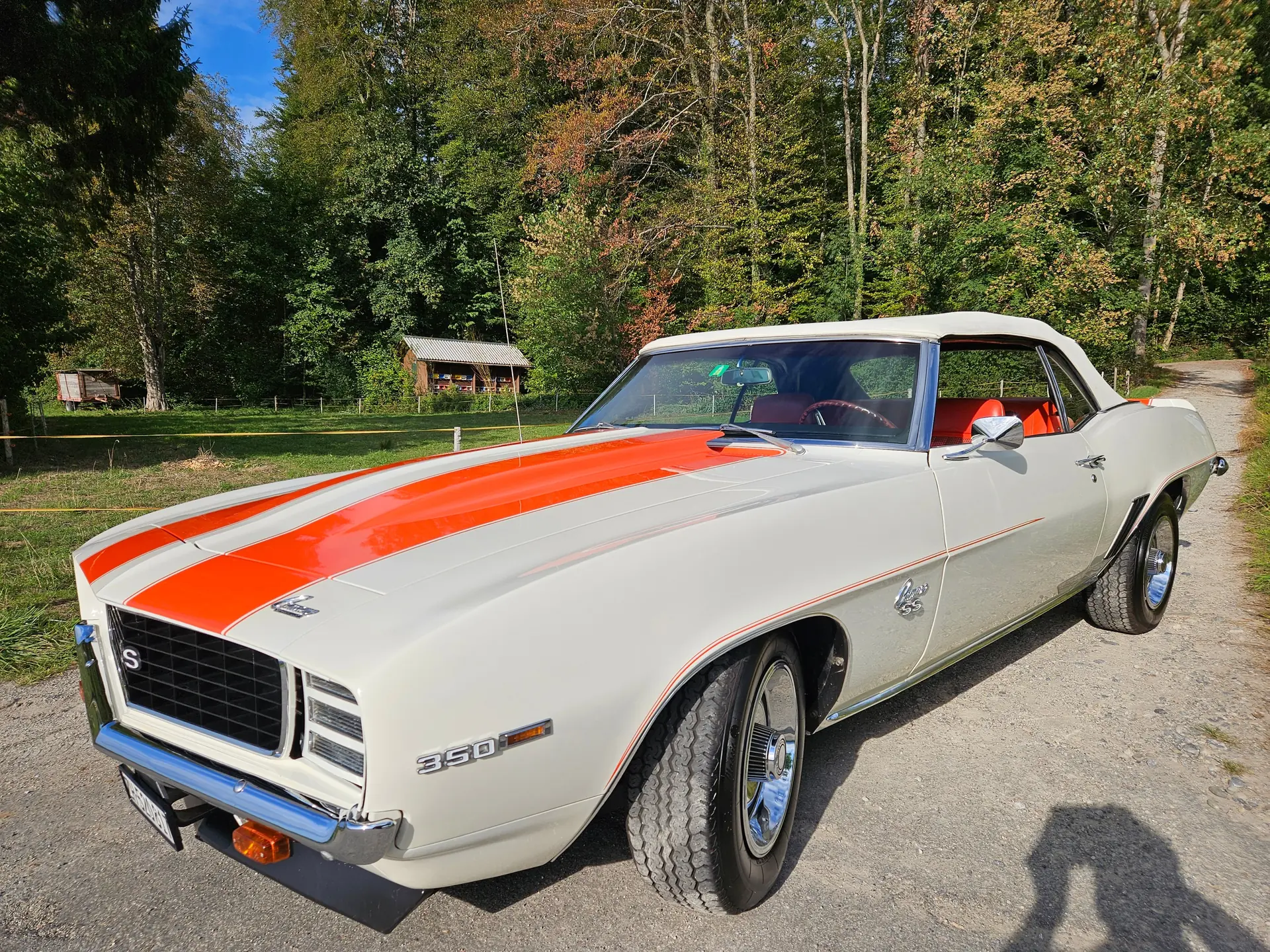 Chevrolet Camaro 1969 occasion Mettmenstetten — 2