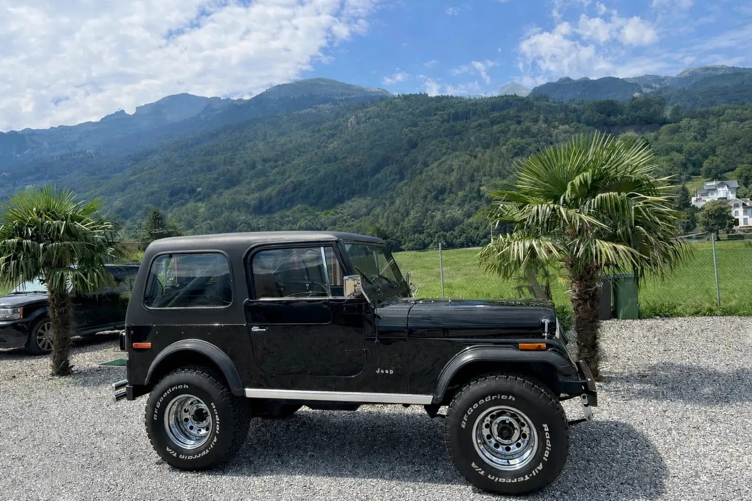 Jeep Cj 1979 occasion Sulgen — 5