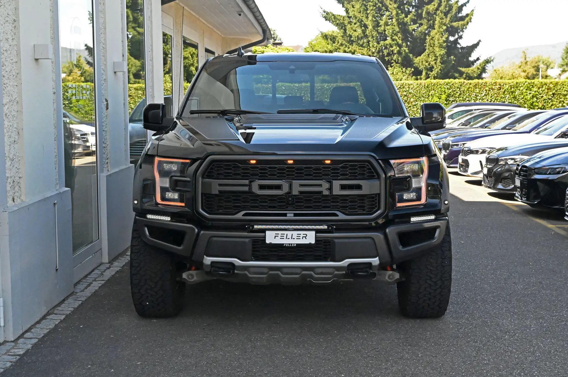 Ford F Pickup 2019 occasion Suhr — 3