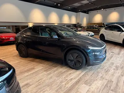 Tesla Model Y Long Range Premium AWD — SUV électrique haute performance, quasi neuf — dettaglio