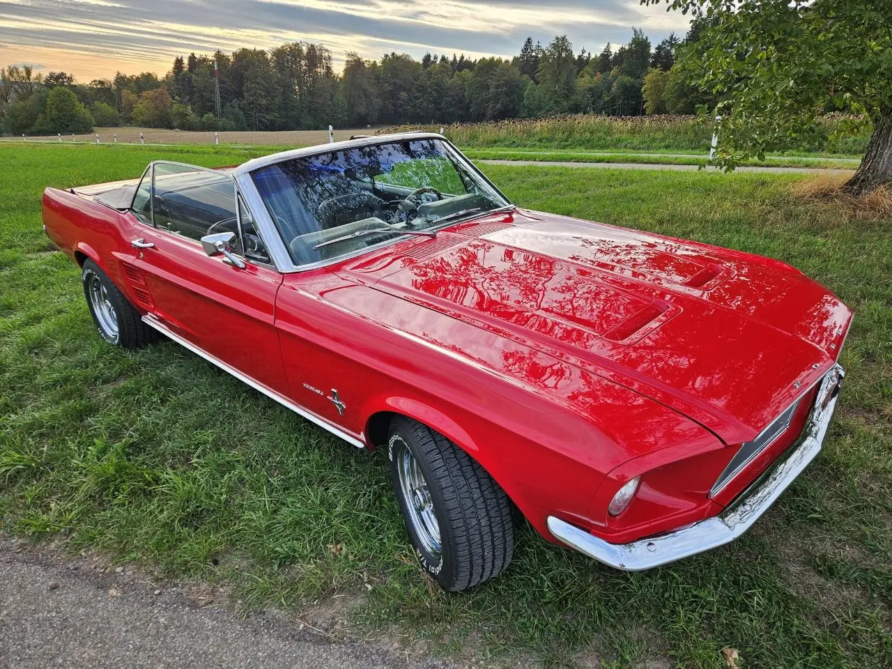 Ford Mustang 1967 occasion Brütten — 3