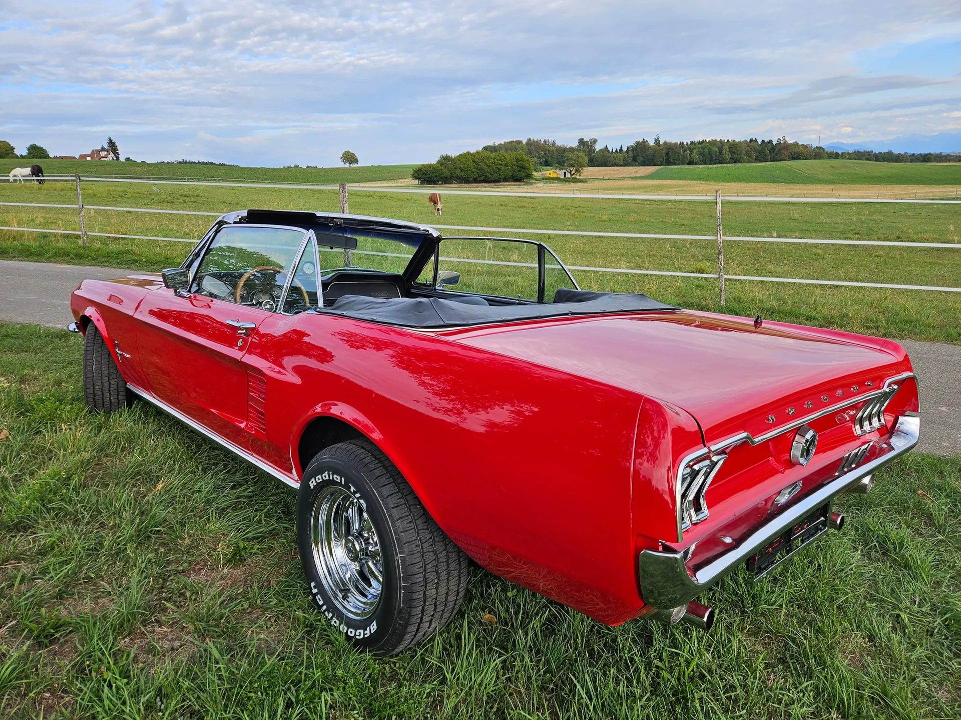 Ford Mustang 1967 occasion Brütten — 4