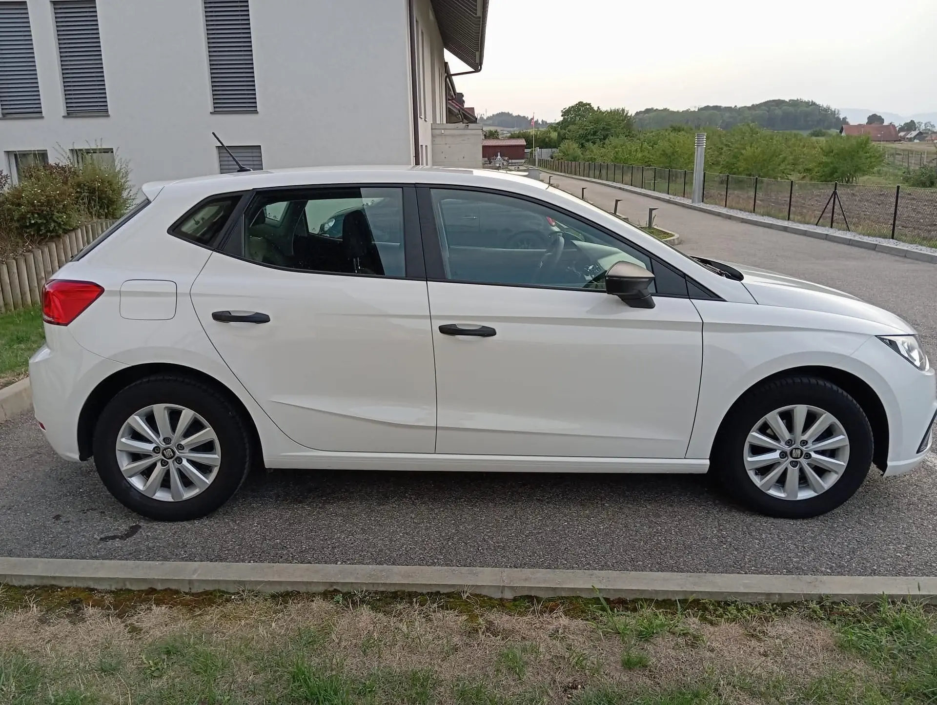 SEAT Ibiza 2020 occasion Mur (Vully) FR — 5