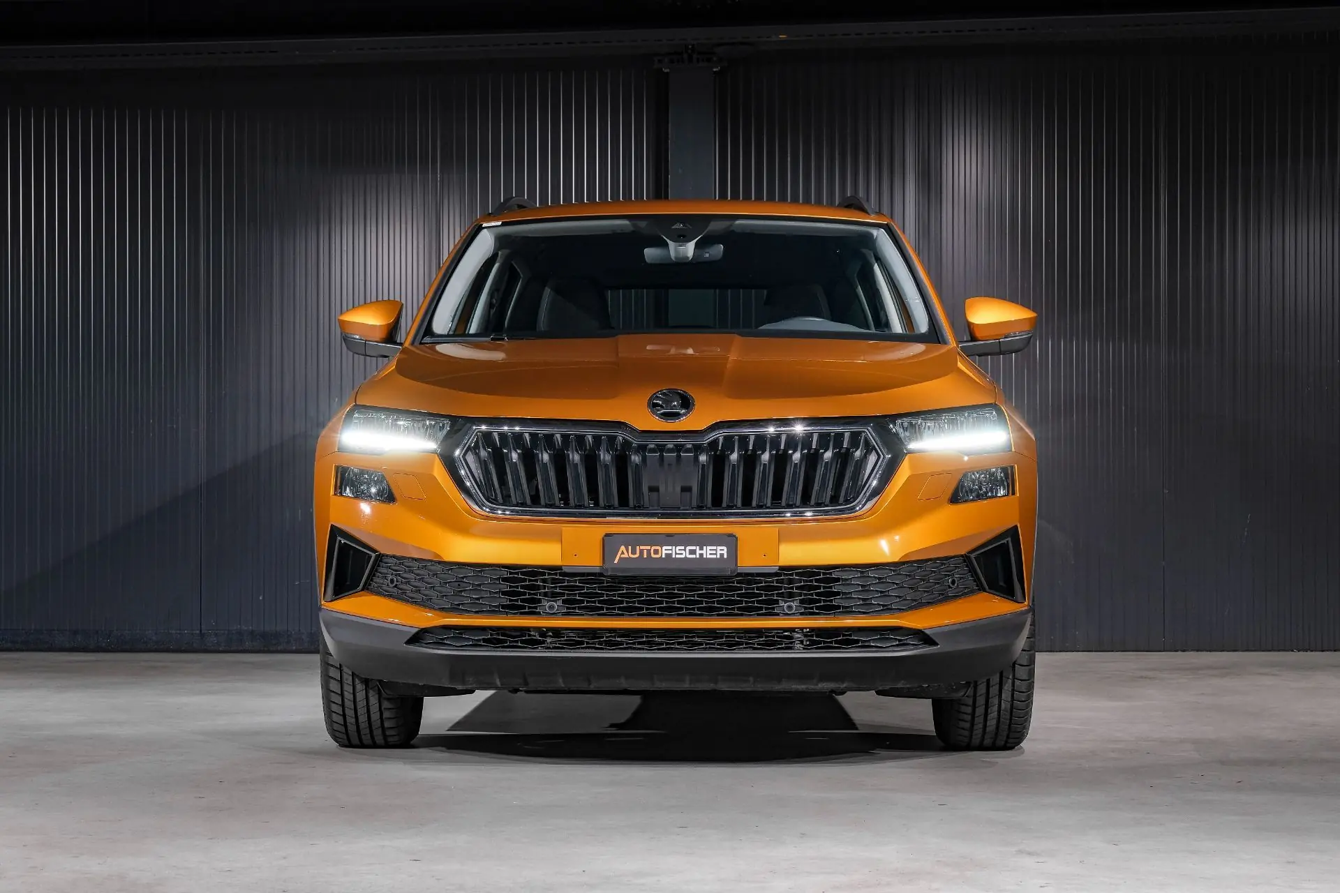 Skoda Karoq 2024 occasion Ettingen — 3