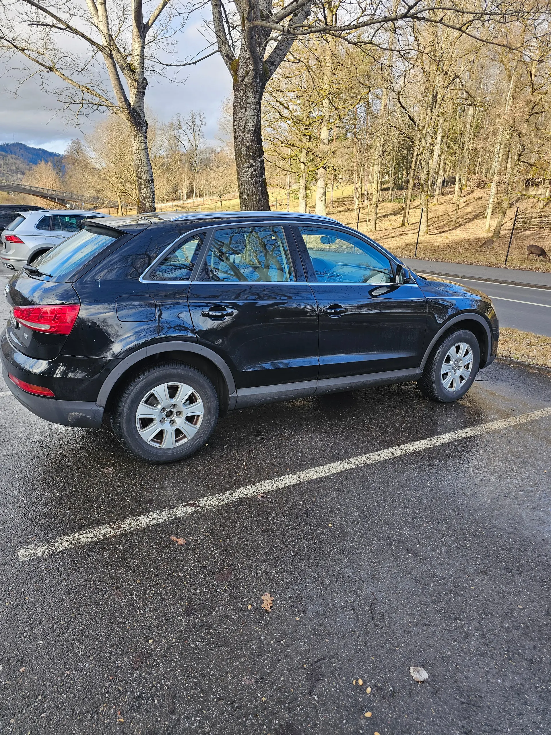 Audi Q3 2012 occasion Adliswil — 3