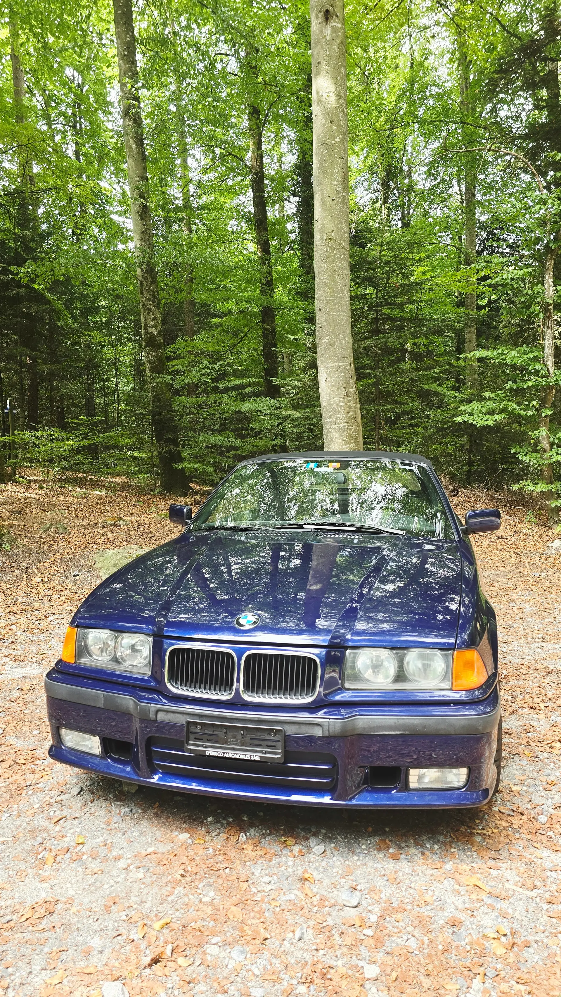 BMW 318 1996 occasion Massongex — 3